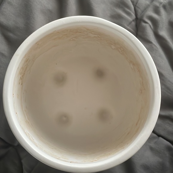 Plant pot - Picture 2 of 5